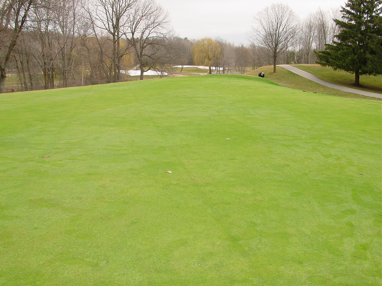 Oneida CC removal WI38